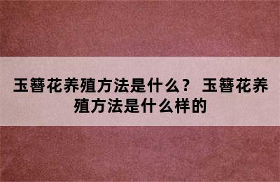 玉簪花养殖方法是什么？ 玉簪花养殖方法是什么样的